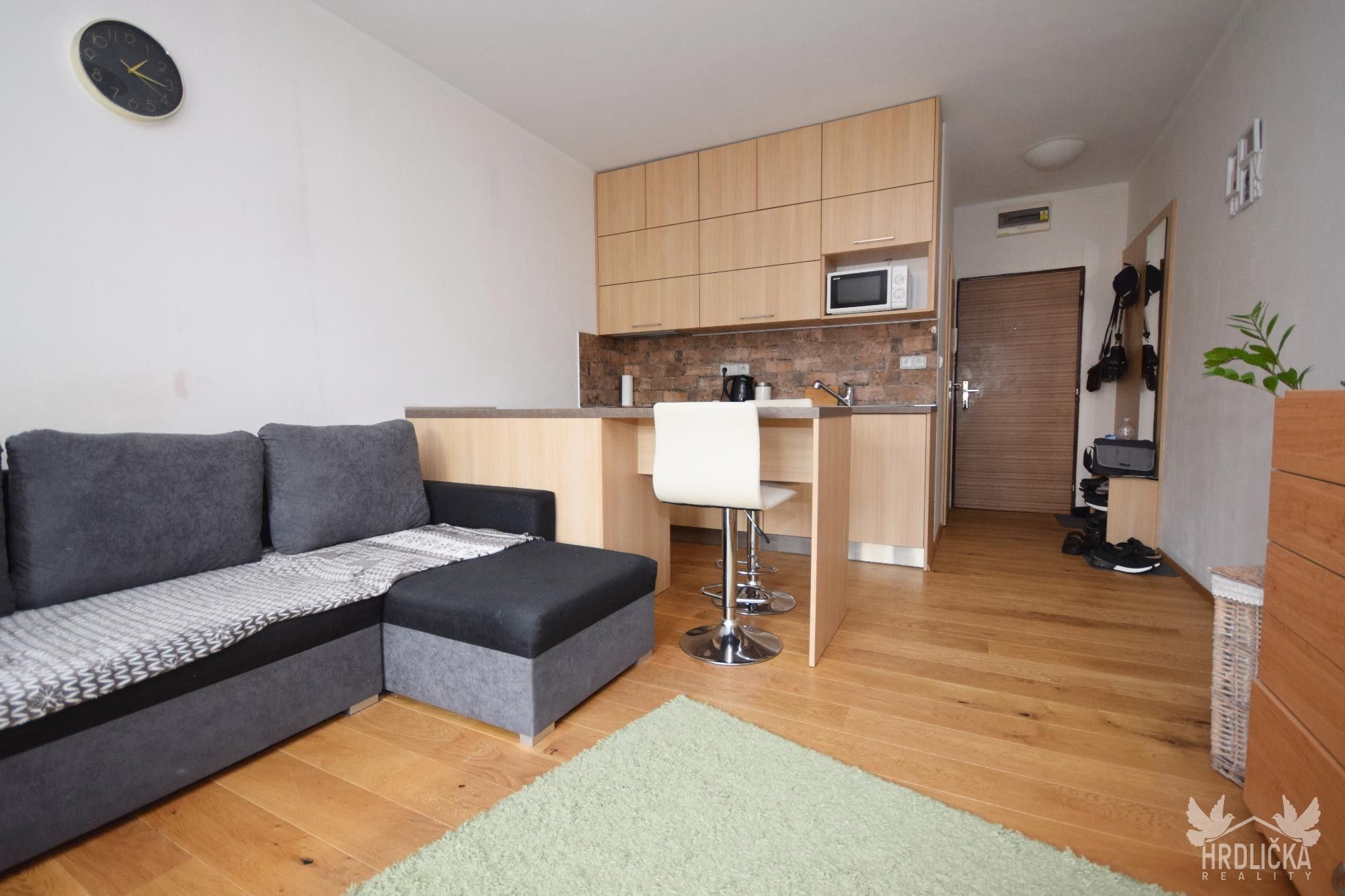 1+kk, Přední Ptákovice, Strakonice, 24 m²