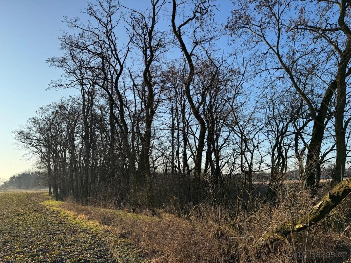 Pozemky pro bydlení, Mělnické Vtelno, 277 38