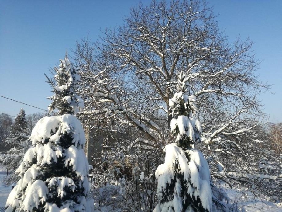 Prodej pozemek pro bydlení - Rychvald, 735 32, 1 514 m²