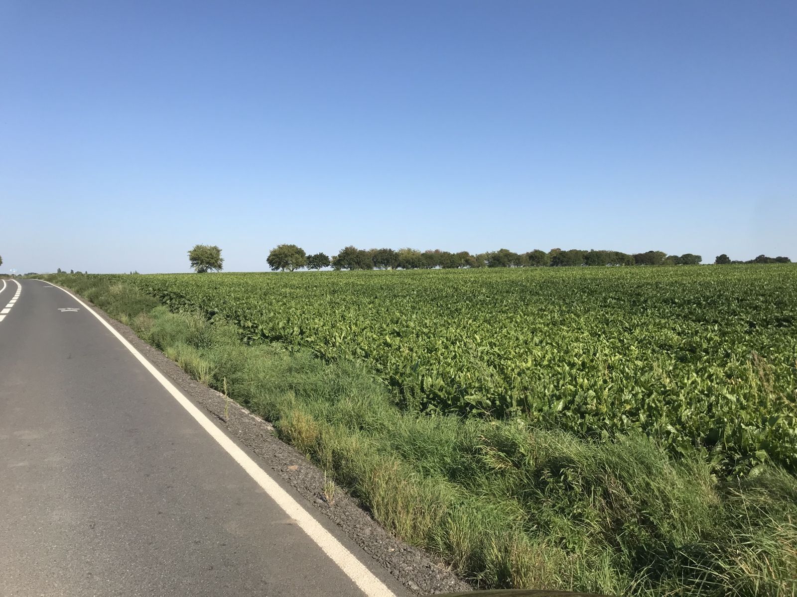 Prodej zemědělský pozemek - Praha, 18 m²