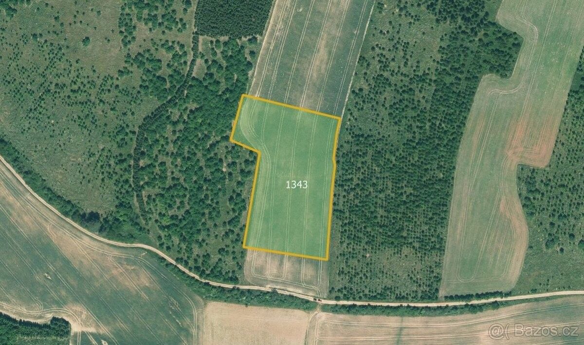 Prodej zemědělský pozemek - Petrovice u Rakovníka, 270 35, 13 286 m²