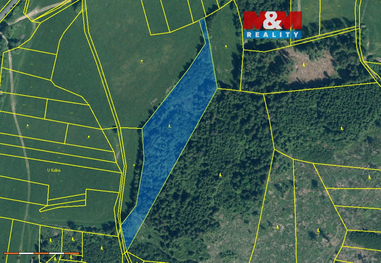 Lesy, Buršice, Kolinec