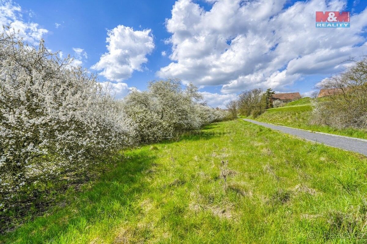 Prodej zahrada - Čistá u Rakovníka, 270 34, 1 236 m²