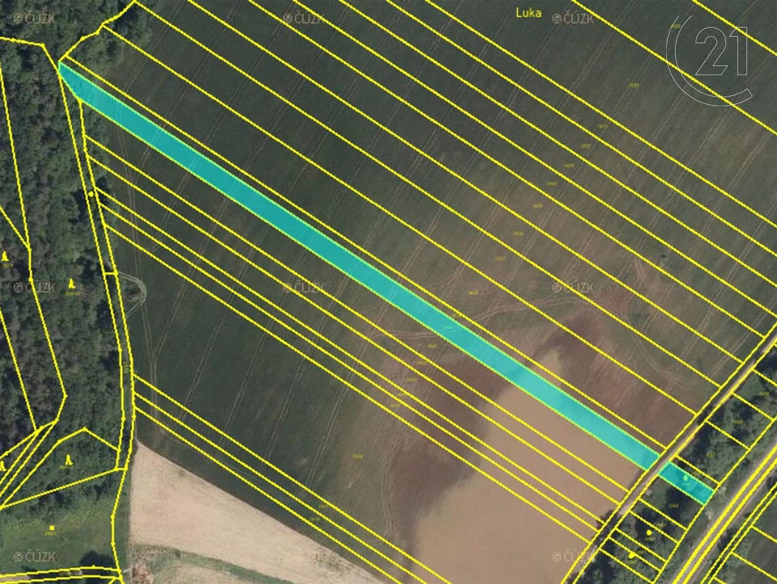 Prodej zemědělský pozemek - Doubravice nad Svitavou, 10 128 m²