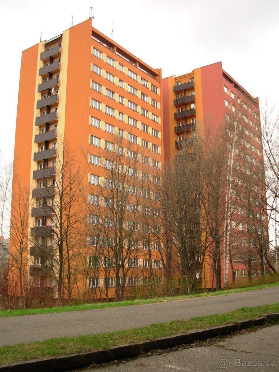 1+1, Ostrava, 710 00, 28 m²