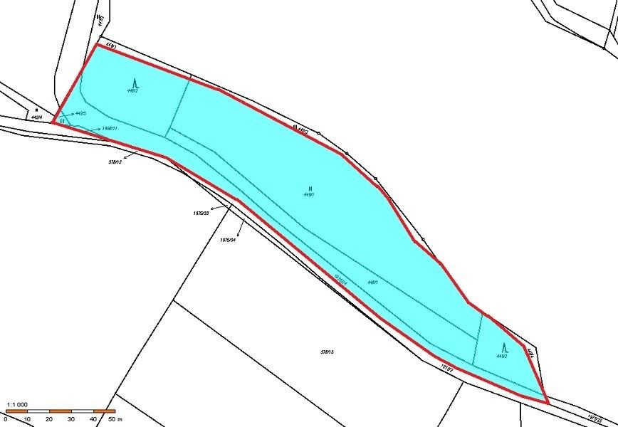 Prodej les - Blatná, 388 01, 3 100 m²