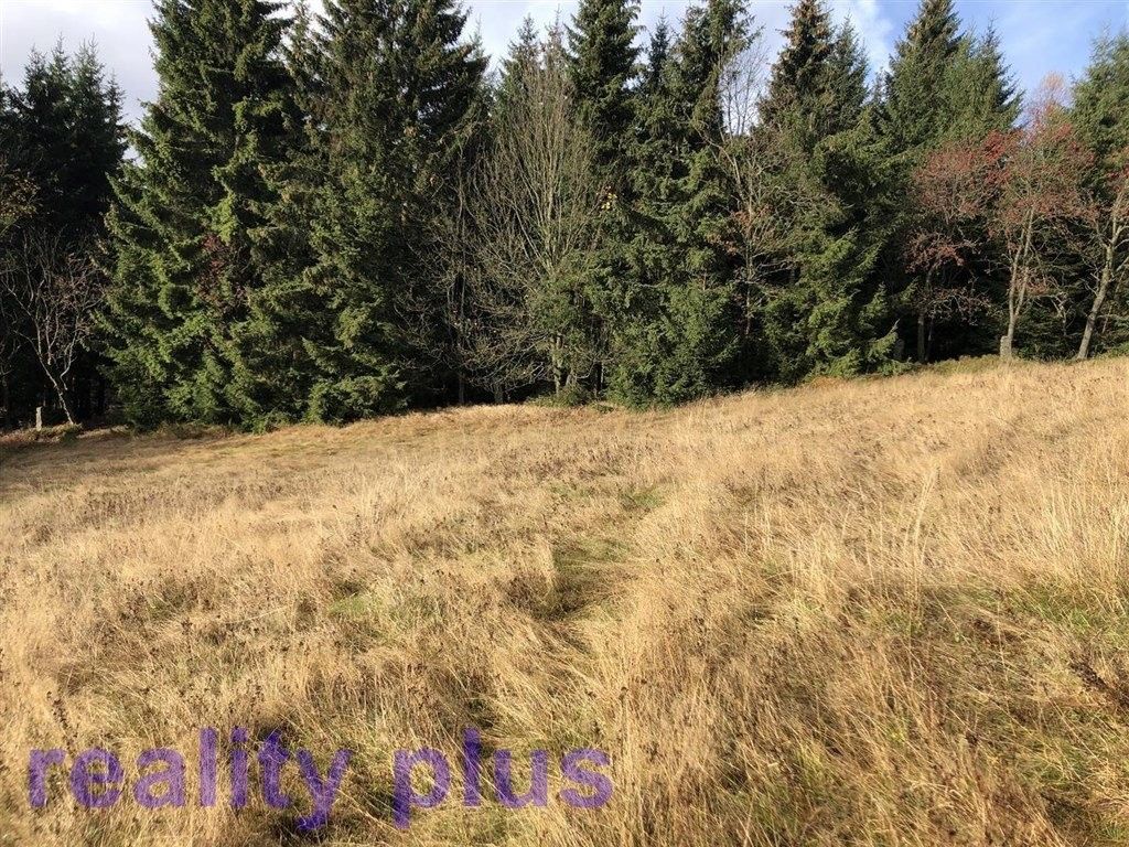 Prodej louka - Bedřichov, 6 m²