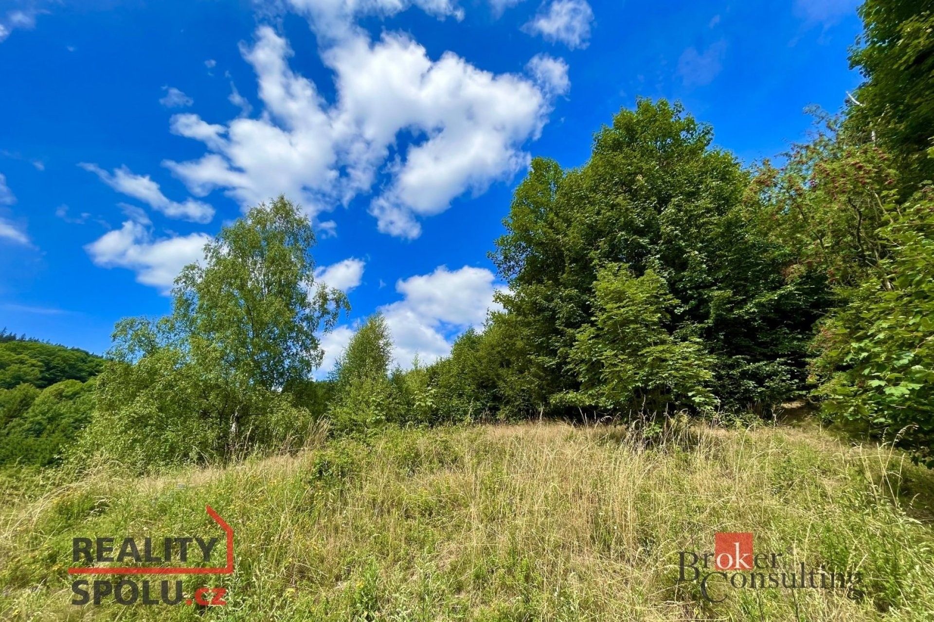 Pozemky pro bydlení, Hraničná, Janov nad Nisou, 1 000 m²