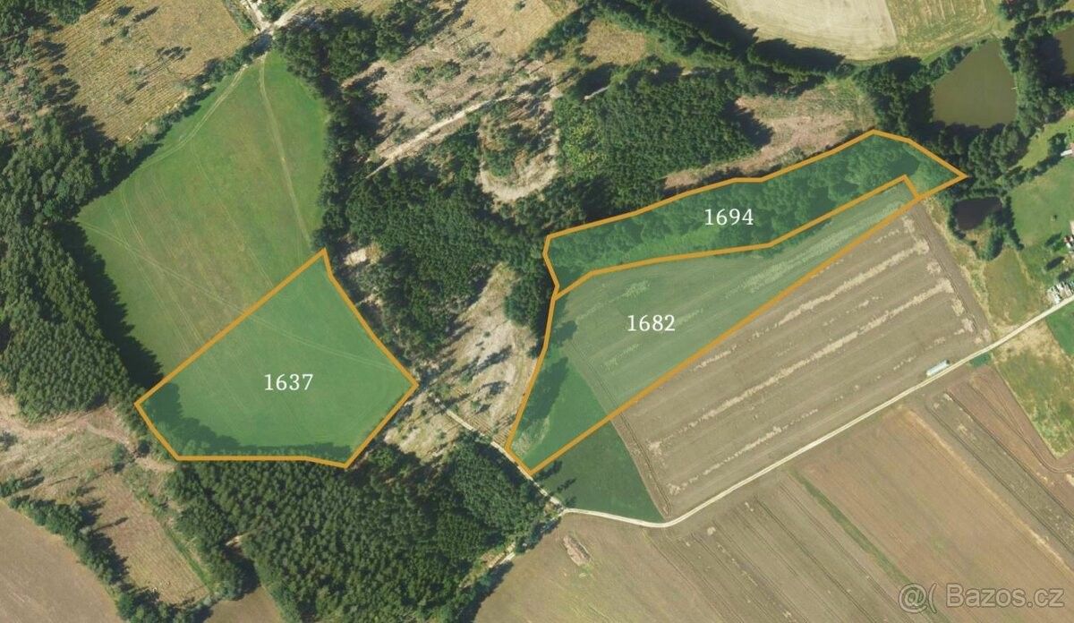 Prodej zemědělský pozemek - Přibyslav, 582 22, 106 061 m²