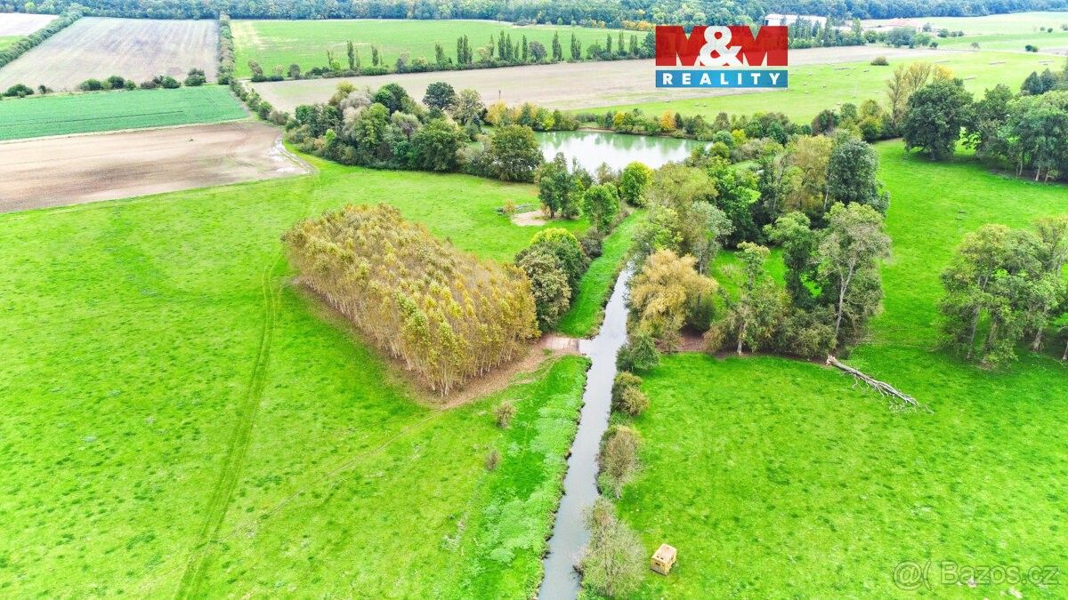 Pozemky pro bydlení, Skřivany u Nového Bydžova, 503 52