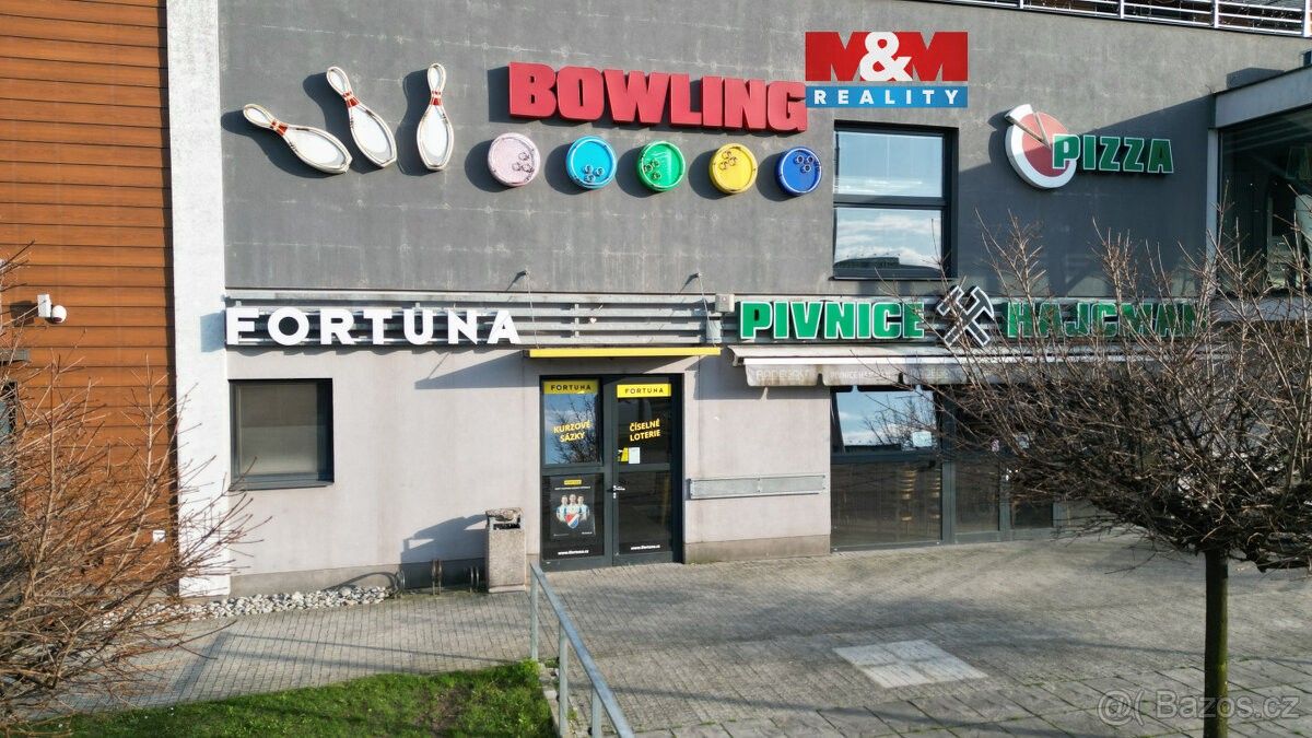 Obchodní prostory, Ostrava, 700 30