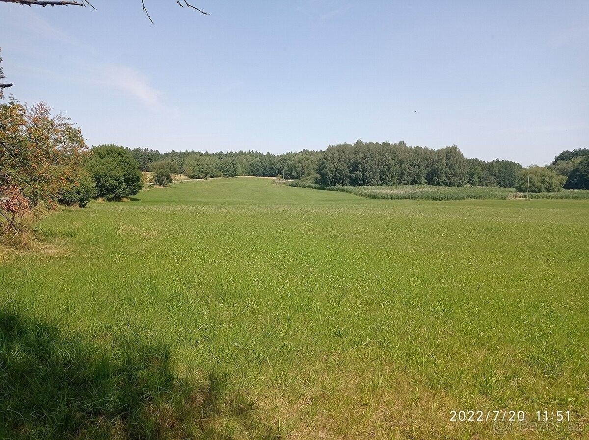 Pozemky pro bydlení, Heřmanův Městec, 538 03