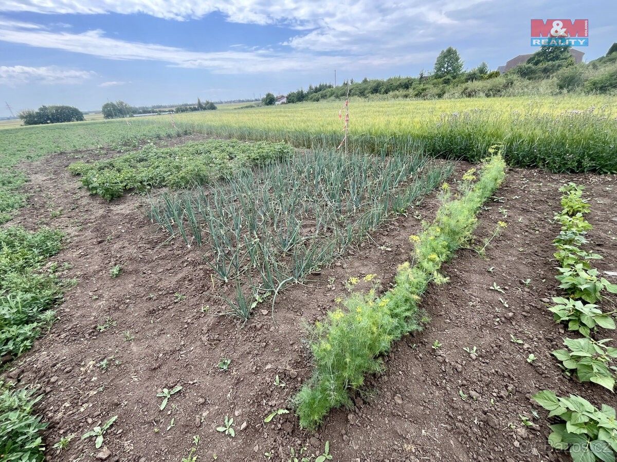 Zemědělské pozemky, Mratín, 250 63, 3 565 m²