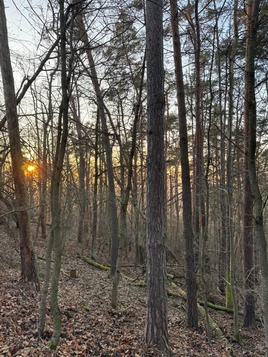 Pozemky pro bydlení, Čerčany, 257 22