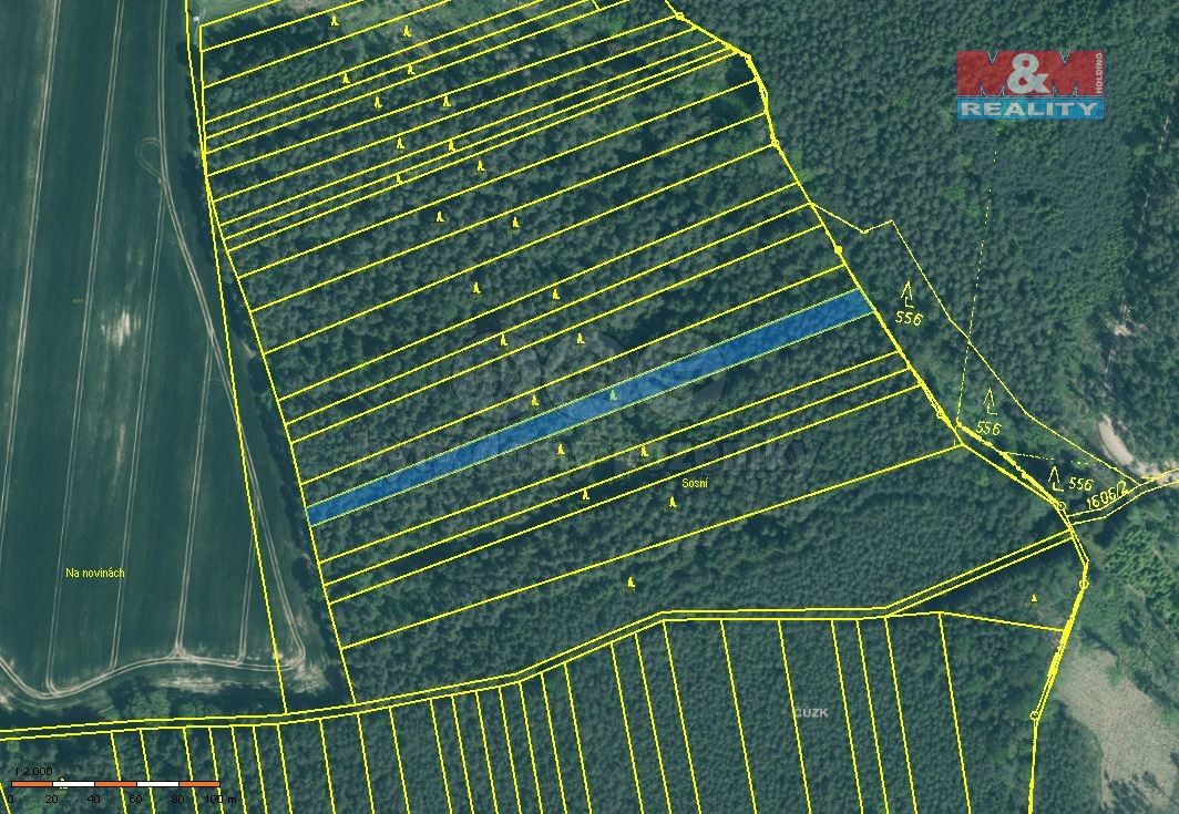 Prodej les - Bernartice u Milevska, 398 43, 3 179 m²