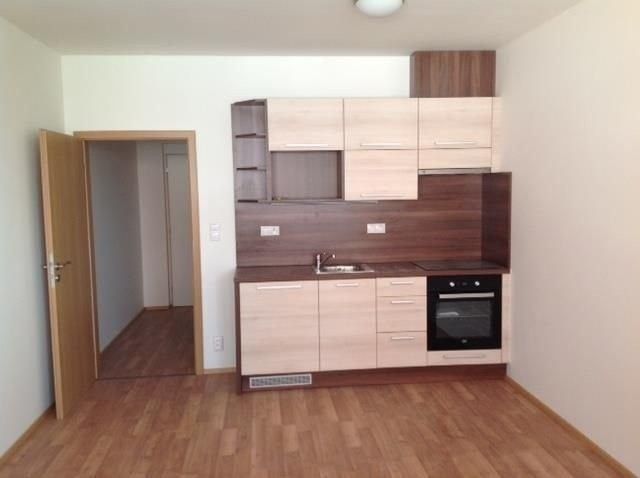 1+kk, Aloise Rašína, Olomouc, 29 m²