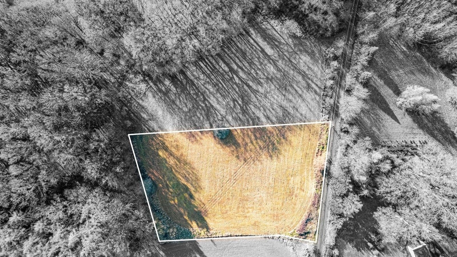 Pozemky pro bydlení, Vlčtejn