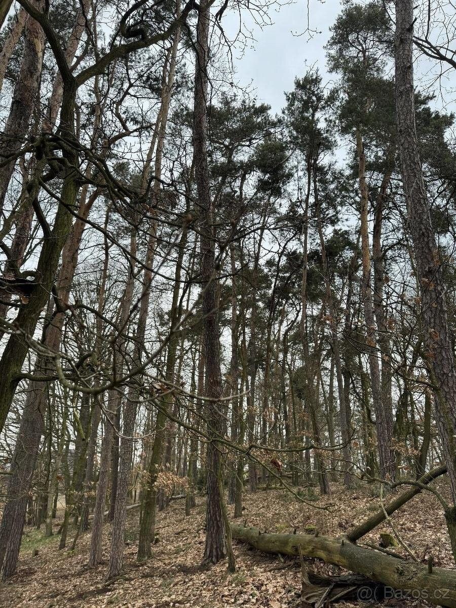 Prodej pozemek pro bydlení - Doksy, 472 01