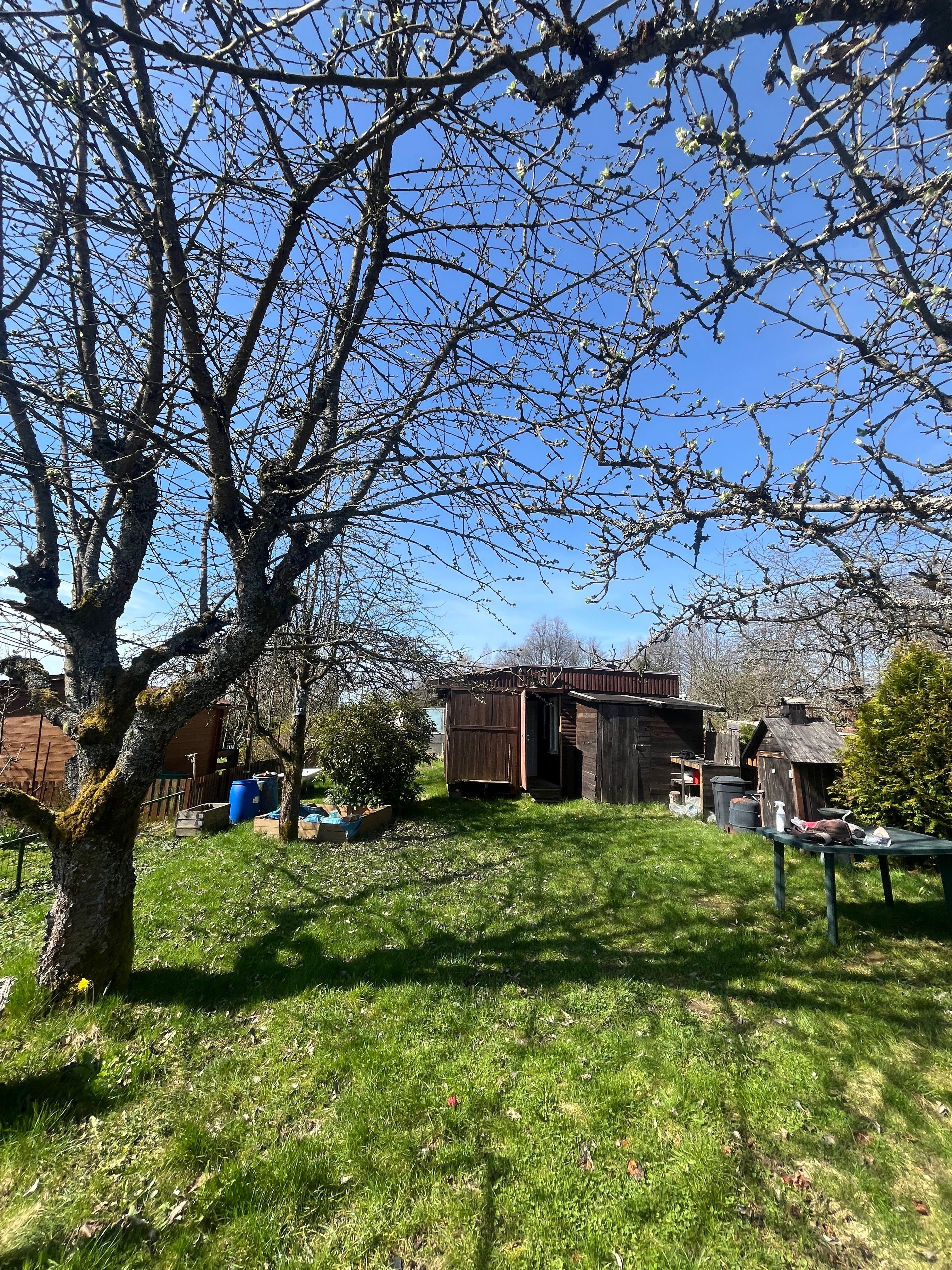 Zahrady, Aš, 409 m²