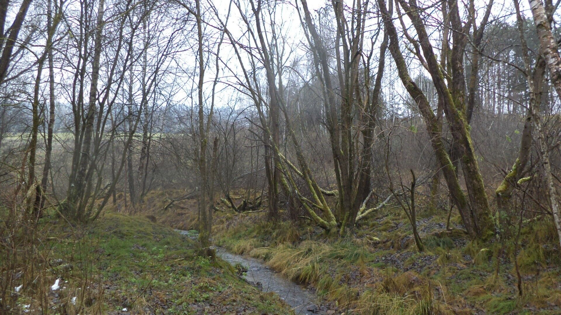 Ostatní, Vyšší Brod, 2 m²