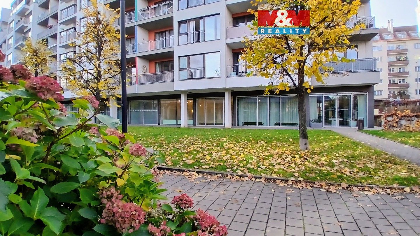 Kanceláře, Jankovcova, Praha, 58 m²