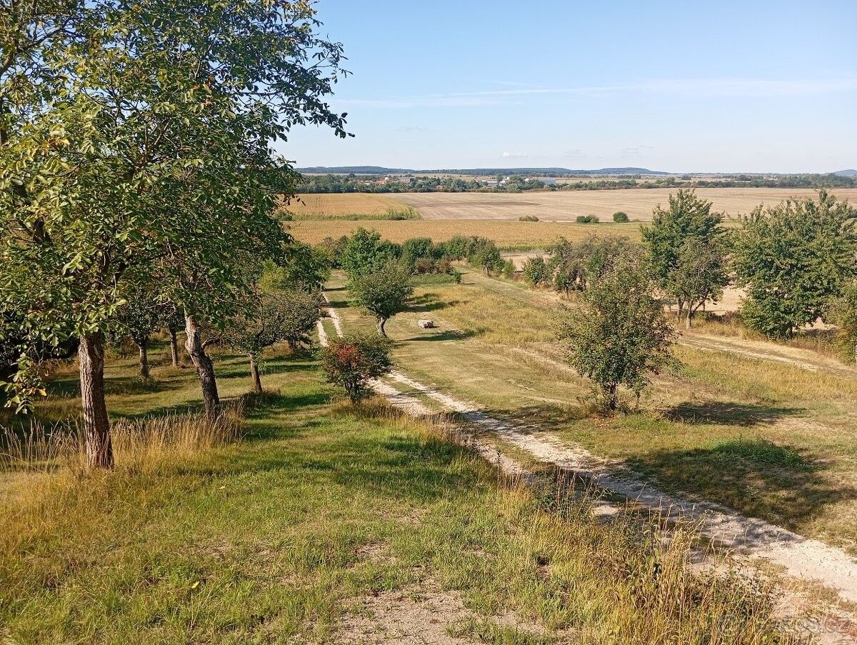 Zahrady, Chlumec nad Cidlinou, 503 51