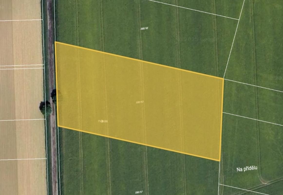 Zemědělské pozemky, Kratonohy