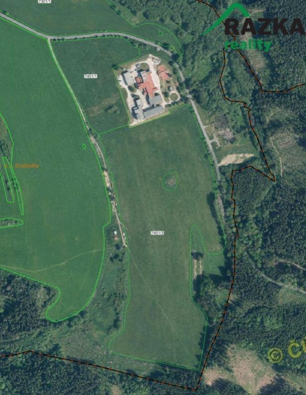 Prodej zemědělský pozemek - Svobodka, Halže, 141 968 m²