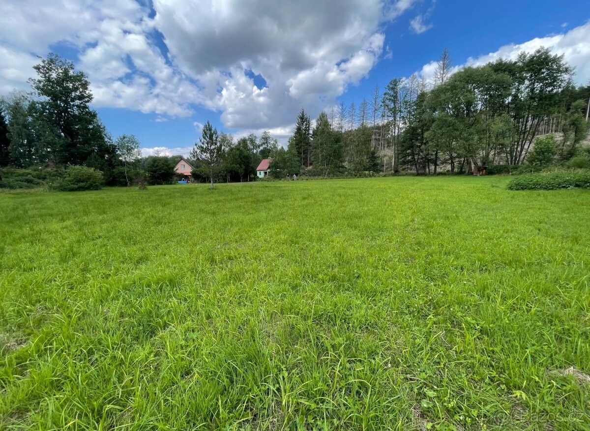 Pozemky pro bydlení, Božejov, 393 01