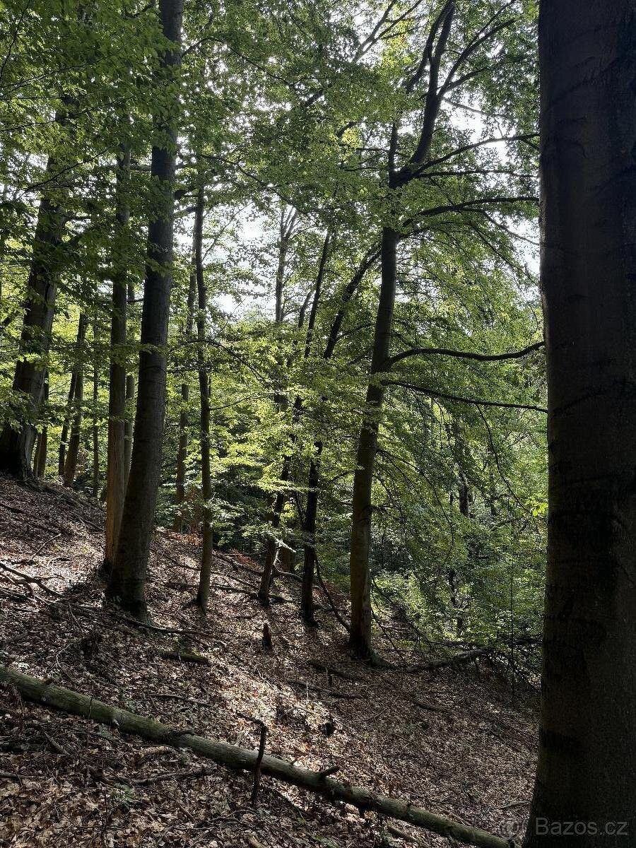 Pozemky pro bydlení, Turnov, 511 01