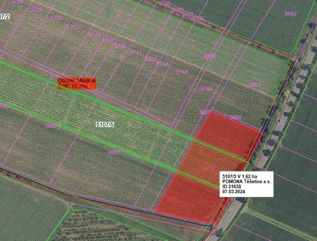 Prodej pozemek - Prosiměřice, 671 61, 10 731 m²