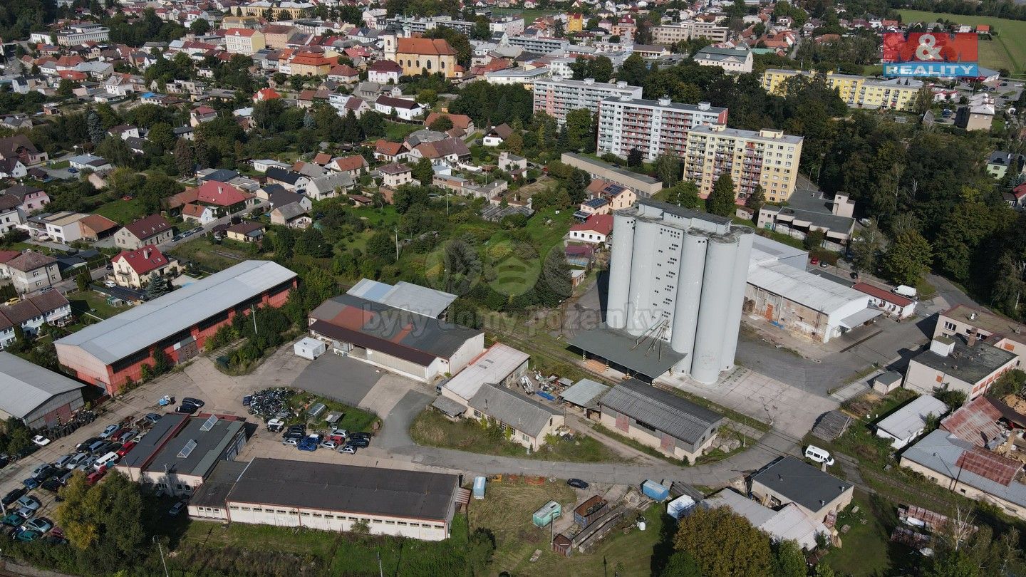 Ostatní, Mánesova, Kostelec nad Orlicí, 1 050 m²