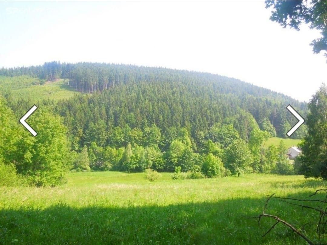 Zemědělské pozemky, Zubří, 756 54, 2 234 m²