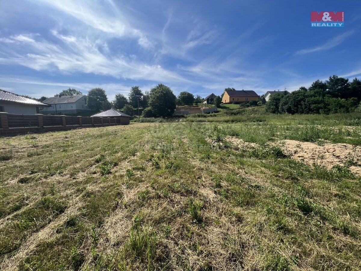 Prodej pozemek pro bydlení - Brantice, 793 93, 2 481 m²