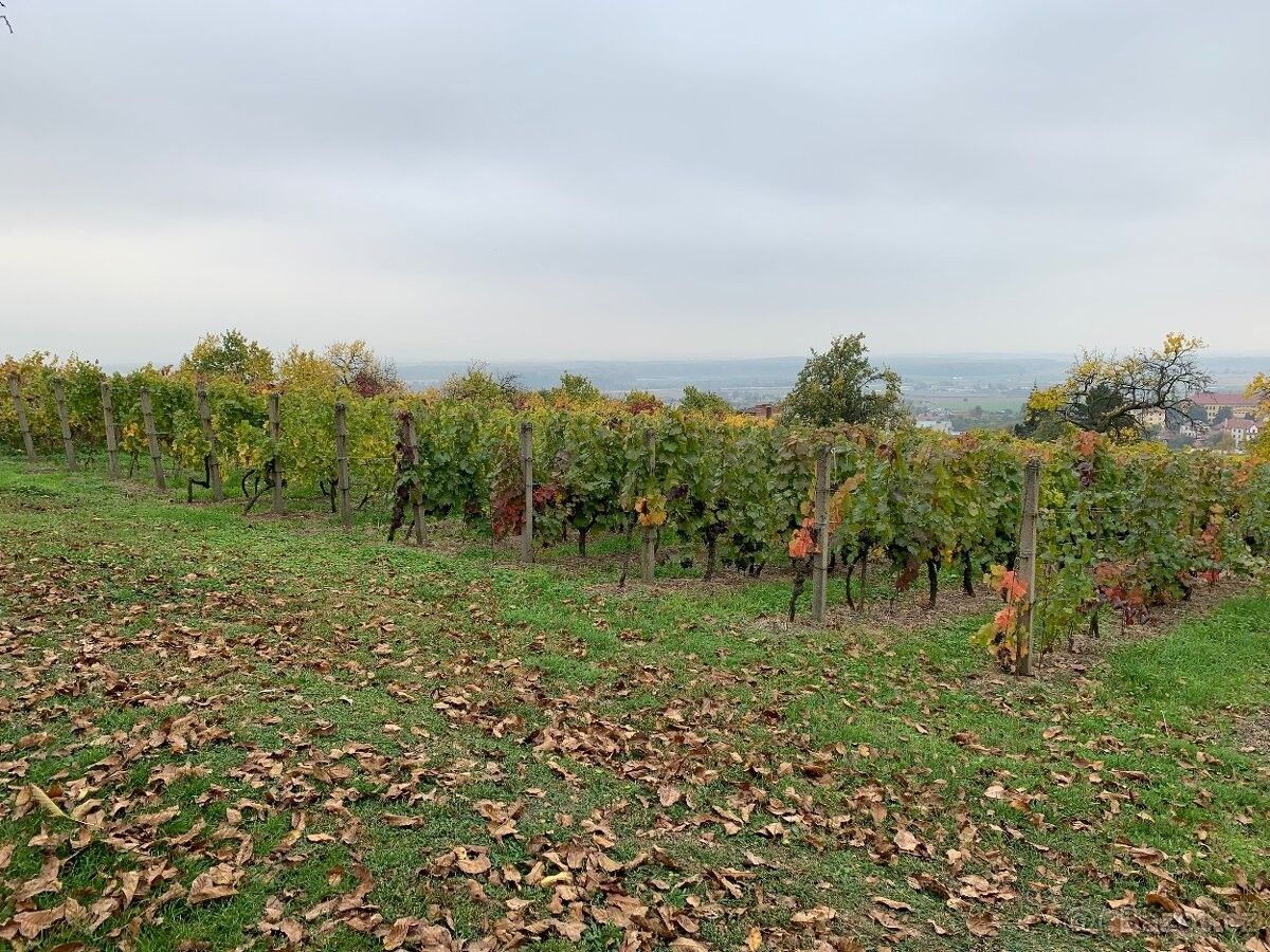 Ostatní, Kostelany nad Moravou, 686 01