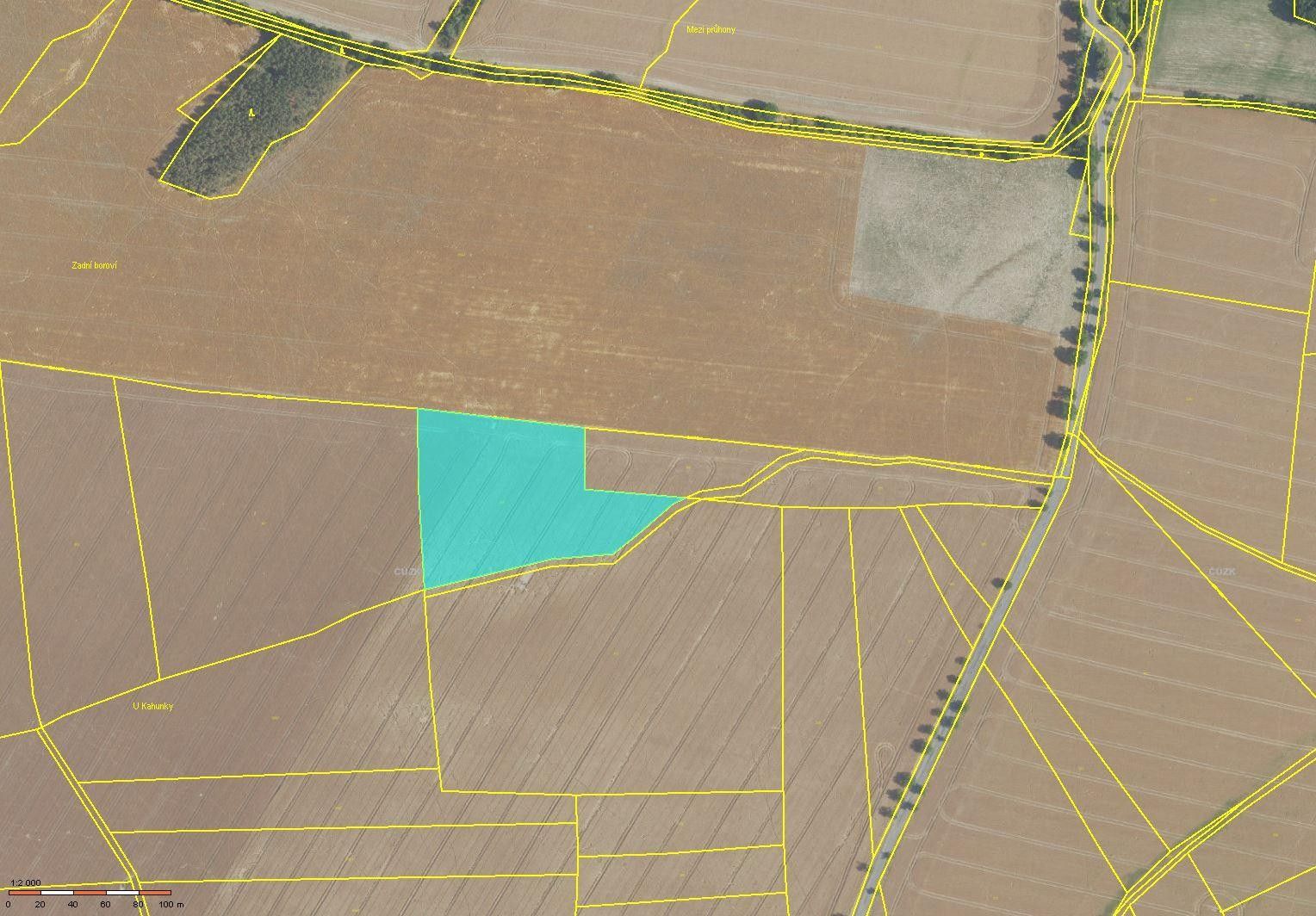 Prodej zemědělský pozemek - Senešnice, Bojanovice, 17 142 m²