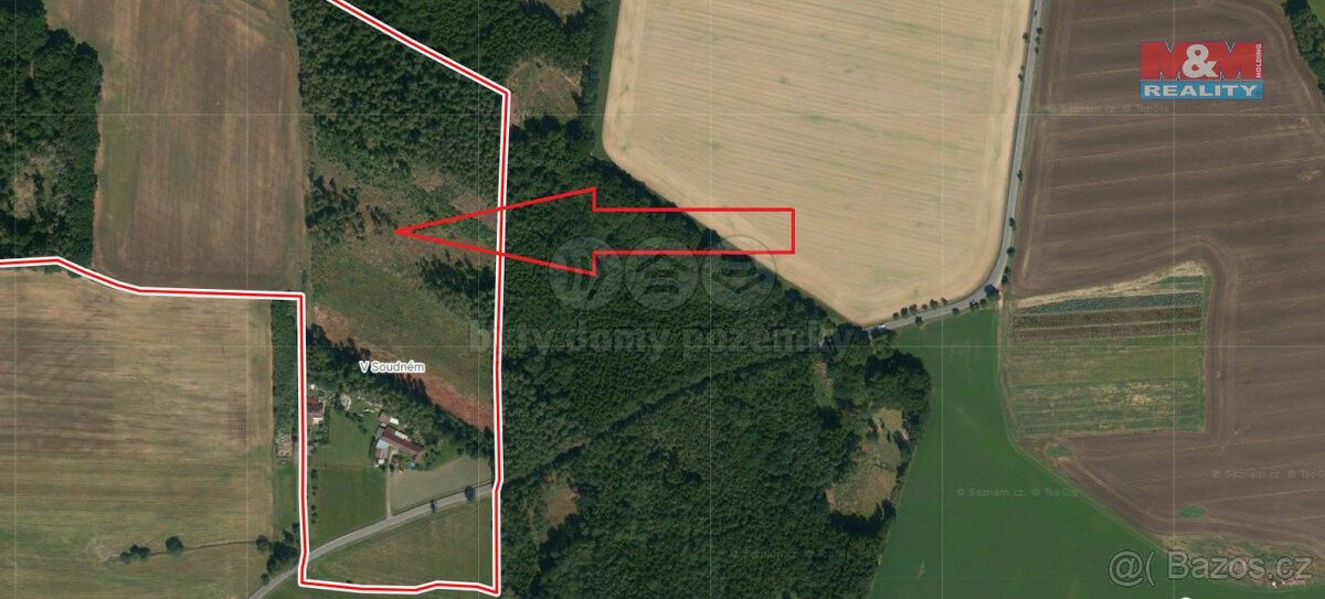 Prodej les - Bernartice u Milevska, 398 43, 6 579 m²