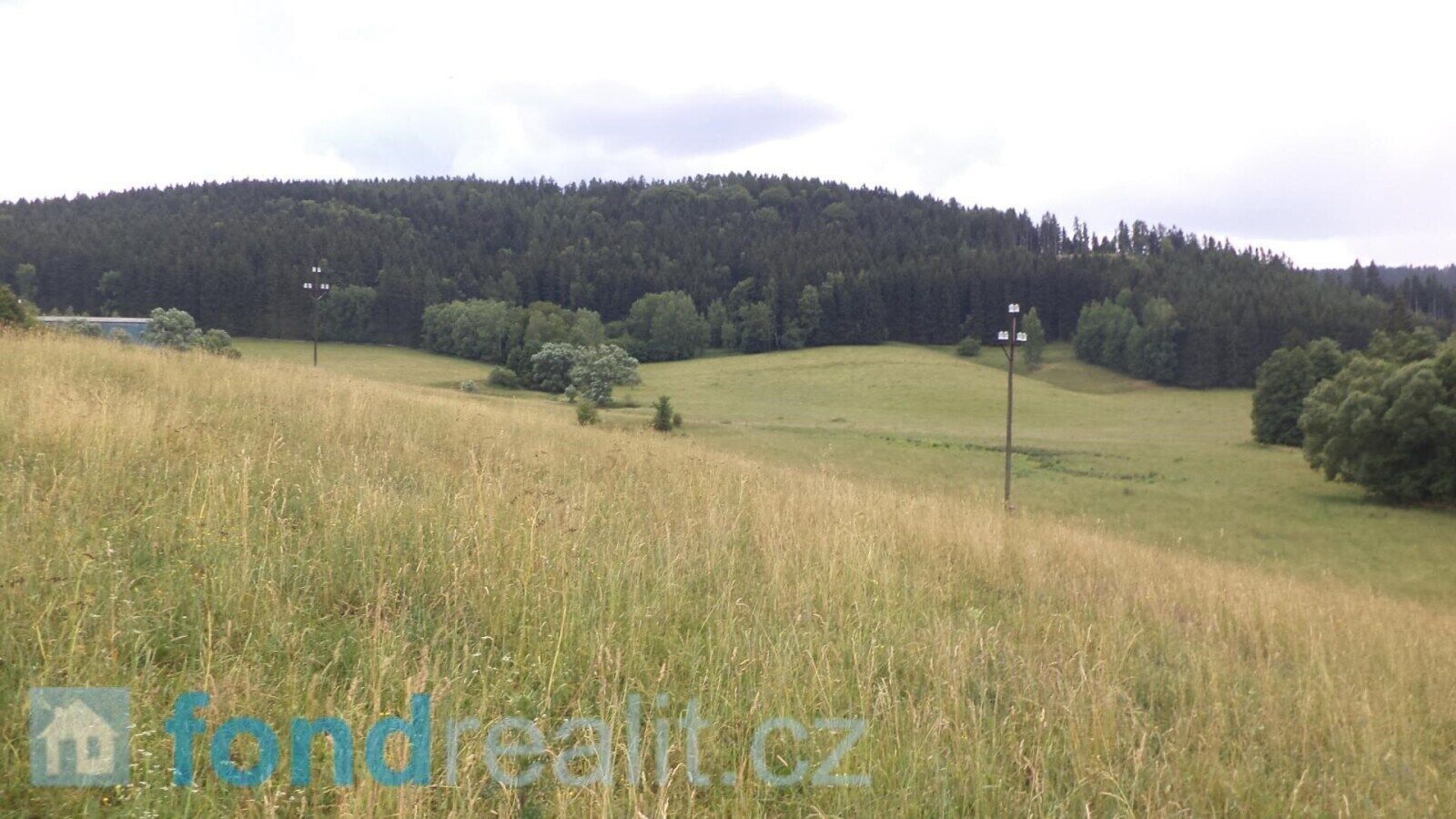 Prodej zemědělský pozemek - Staré Buky, 10 957 m²