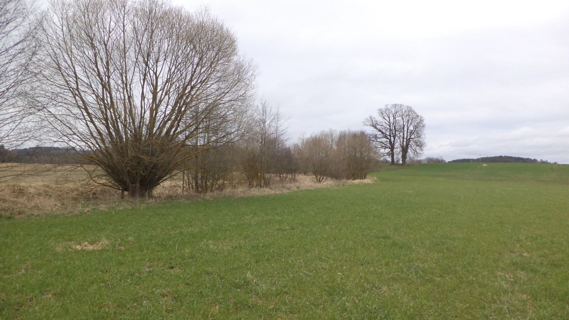 Zemědělské pozemky, Dolní Radouň, Jindřichův Hradec, 11 m²