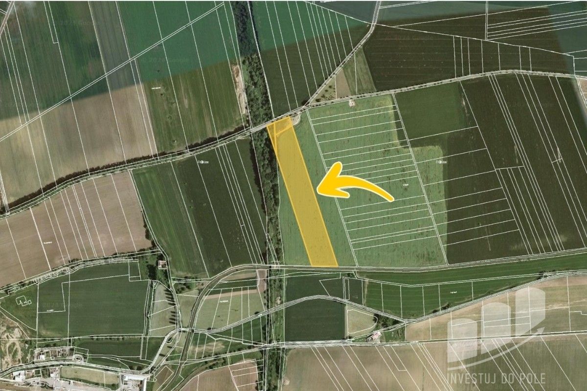 Prodej zemědělský pozemek - Velké Opatovice, 10 115 m²