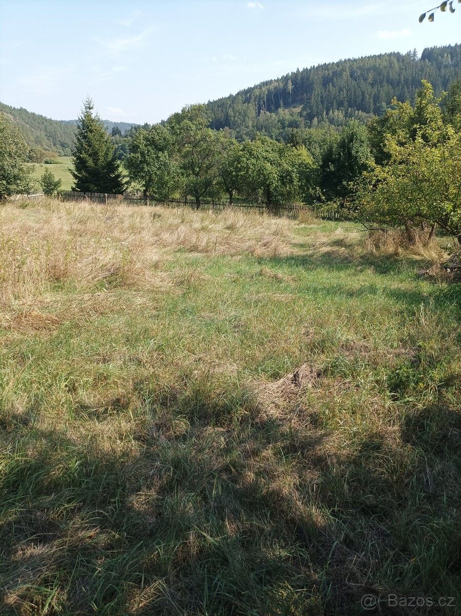 Prodej pozemek pro bydlení - Chyše, 364 53, 1 000 m²