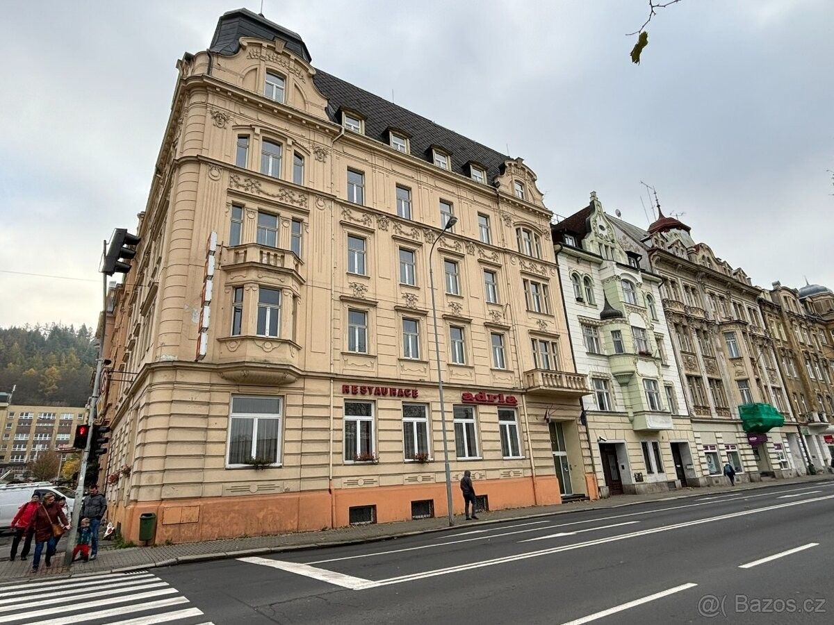 Restaurace, Karlovy Vary, 360 01, 100 m²