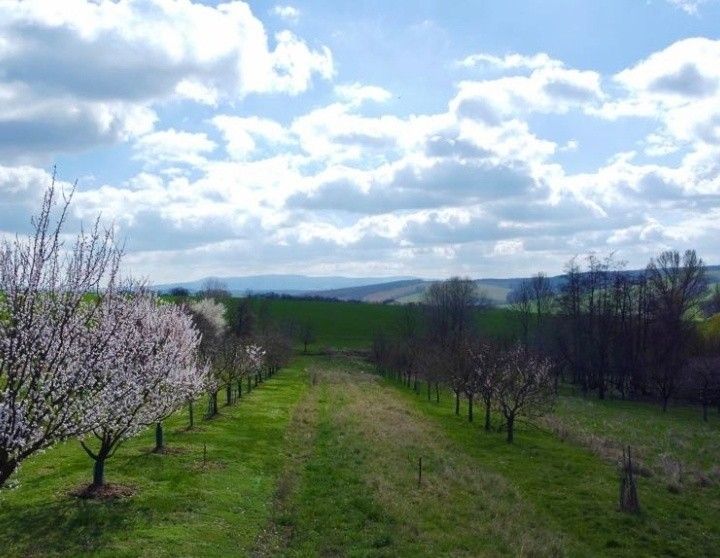 Prodej pozemek pro bydlení - Roštín, 768 03, 2 007 m²