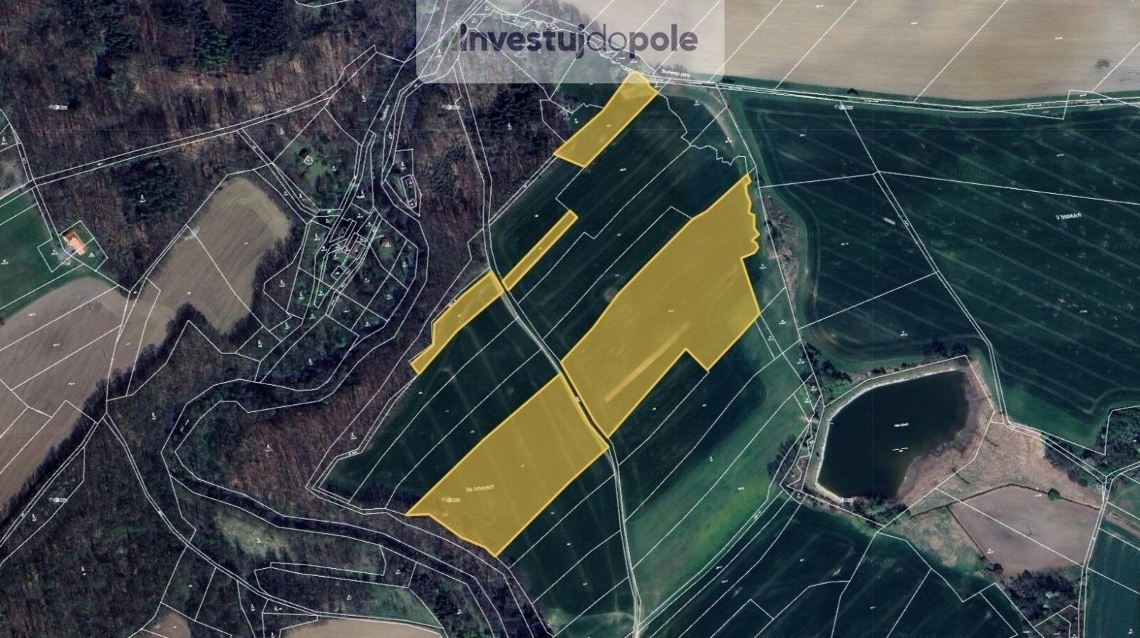 Zemědělské pozemky, Běstvina, 45 541 m²