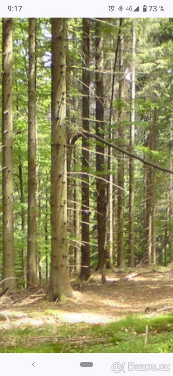 Lesy, České Budějovice, 370 01