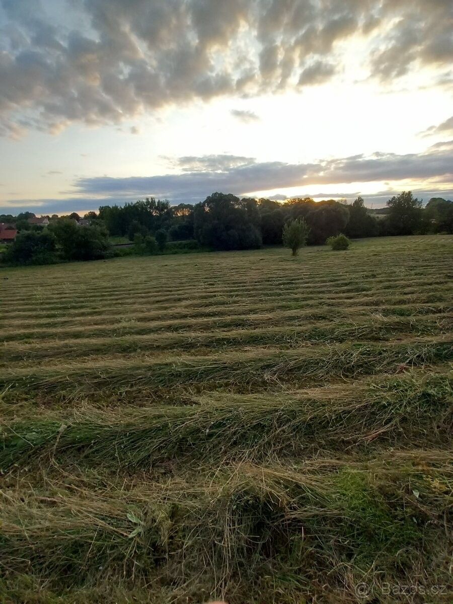 Pronájem zemědělský pozemek - Loštice, 789 83