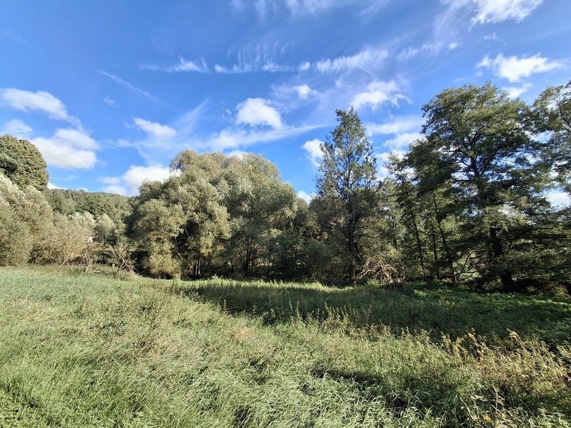 Prodej pozemek pro bydlení - Těšov, Milíkov