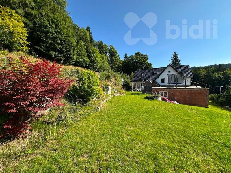 Rodinné domy, Vítězná cesta, Nejdek, 280 m²