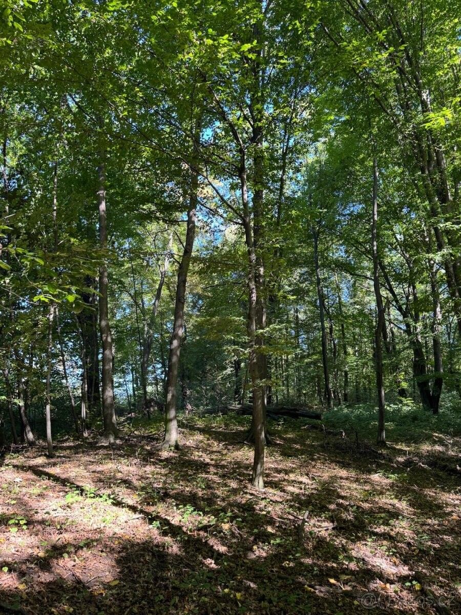 Pozemky pro bydlení, Šenov u Ostravy, 739 34