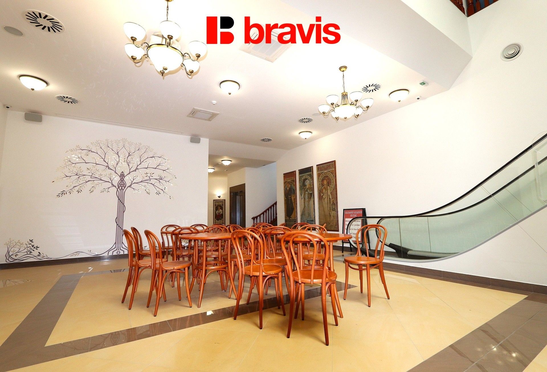 Obchodní prostory, Starobrněnská, Brno, 40 m²